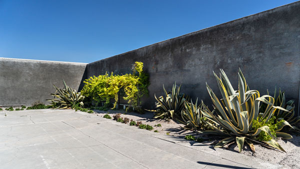 Nelson Mandela's cell garden where manuscript hidden on Robben Island
