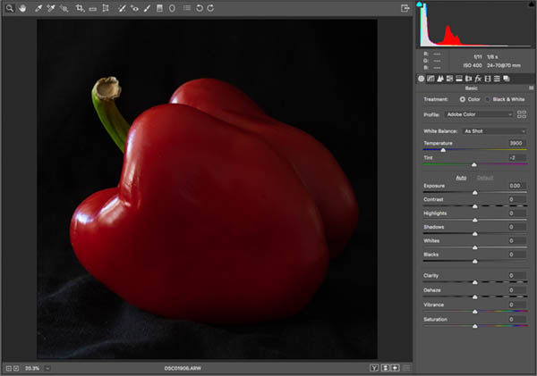 Original red pepper for how to photograph like edward weston photoshop tutorial