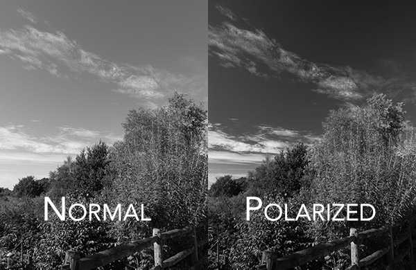 filters for black and white photography with and without polarizer
