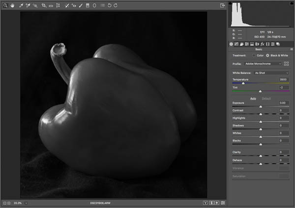 convert colour into black and white in raw as weston photographed monotone