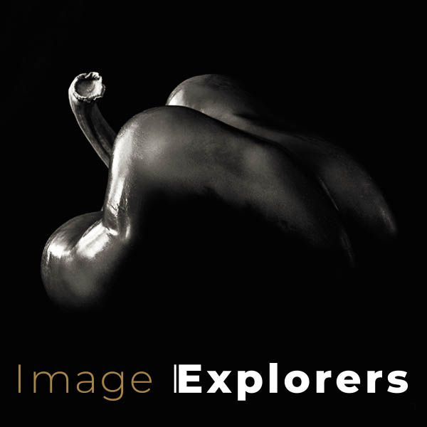Pepper photograph in Edward Weston style