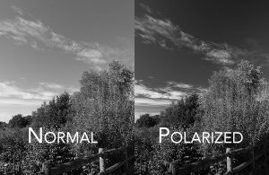 filters for black and white photography with and without polarizer