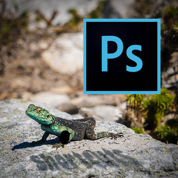 Essential photoshop shortcuts with text