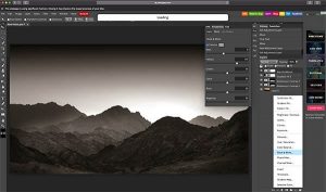 Black and white adjustment layer like photoshop