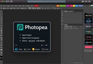 photopea interface