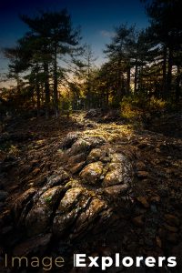 2 images to make silhouette image final